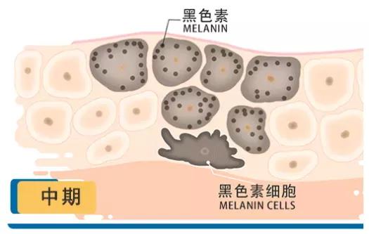 �ൺƤ����ҽԺ�ļҺ�